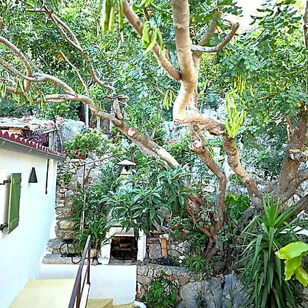 Gasthof Luka's House - Zf Hvar Hvar Town