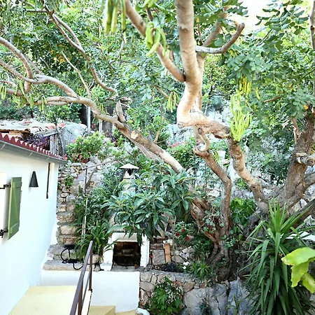 Luka's House - Zf Hvar * Hvar Town